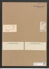 Nitzschia ovalis Arnott. (de-Toni-Nr.: Genus 47, Species 2119) Zeichnungen Sammlung Grunow Nr. 4247 (NHMW-BOT-W0372218)